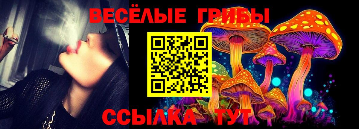 Галлюциногенные грибы Magic Shrooms Златоуст