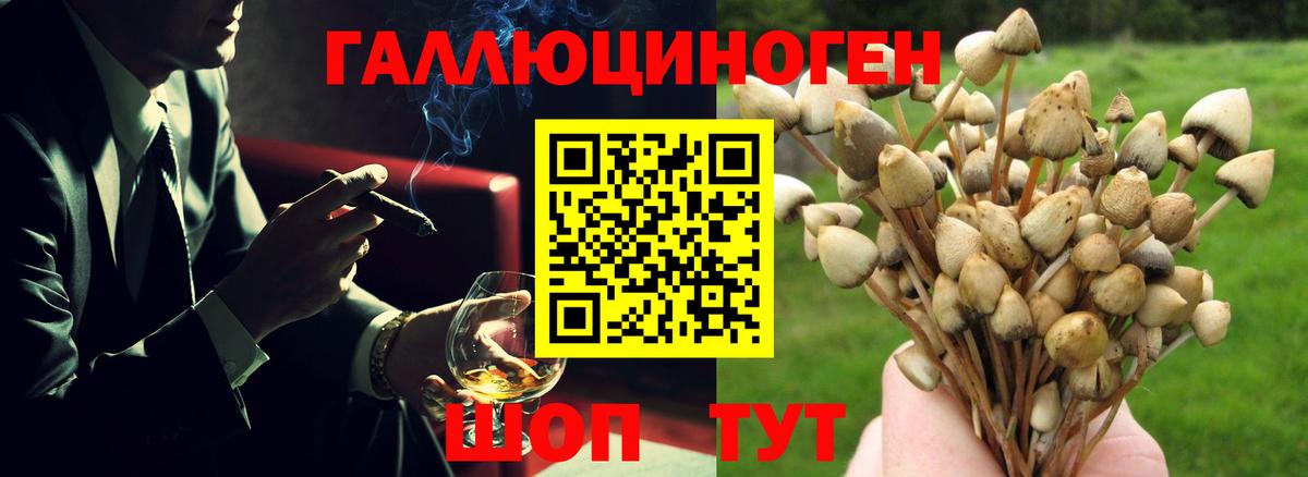 Златоуст  Псилоцибиновые грибы Psilocybe  Вход с VPN  что такое наркотик  Галлюциногенные грибы Cubensis 